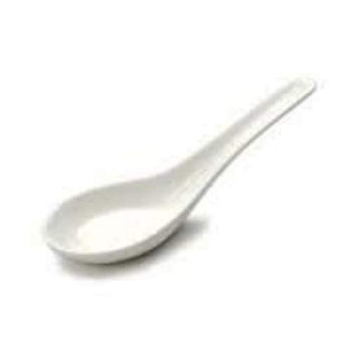 12 Pieces Super White Ceramic Spoons For Tasting / Appetizers/ Rice (5.0