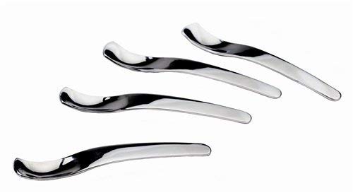 Frieling 0111 18/10 Polished Stainless Steel Spoons, Silver, Set of 4